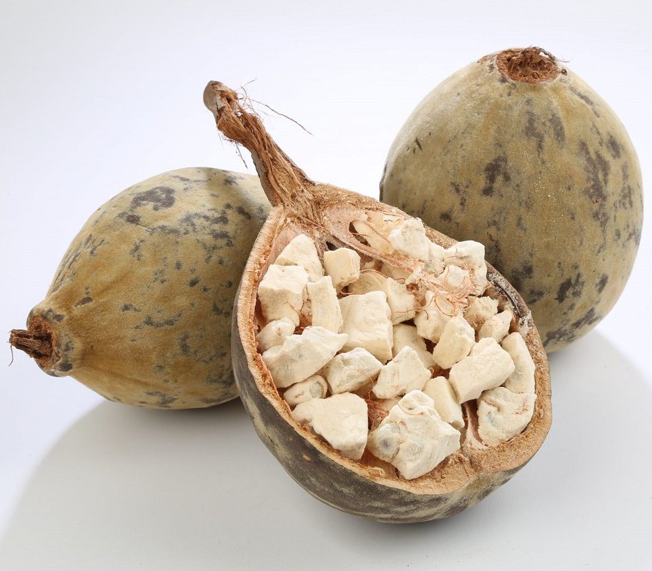 Le baobab du Sénégal, au cœur de nos soins